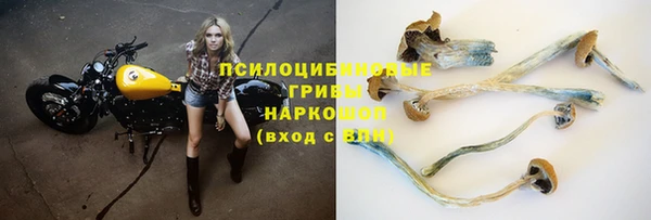 меф Горно-Алтайск
