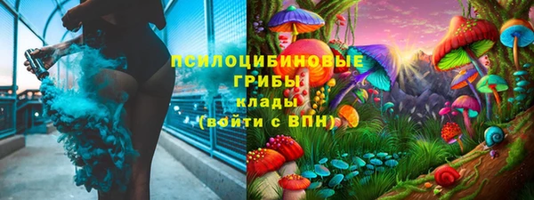 марки nbome Горняк