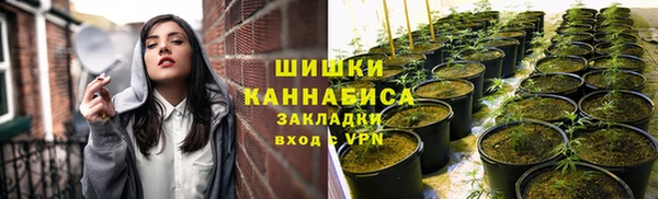 марки nbome Горняк